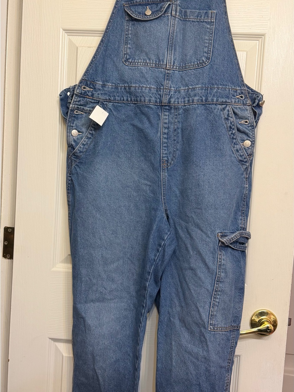 Celebrity Pink Blue Denim Women's Overalls